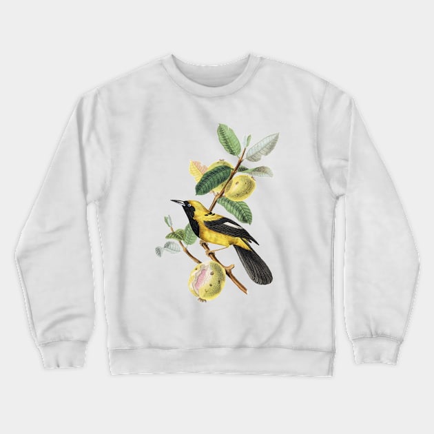 Yellow Bird on Branch Crewneck Sweatshirt by StarDash_World